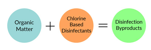 Disinfection Byproducts